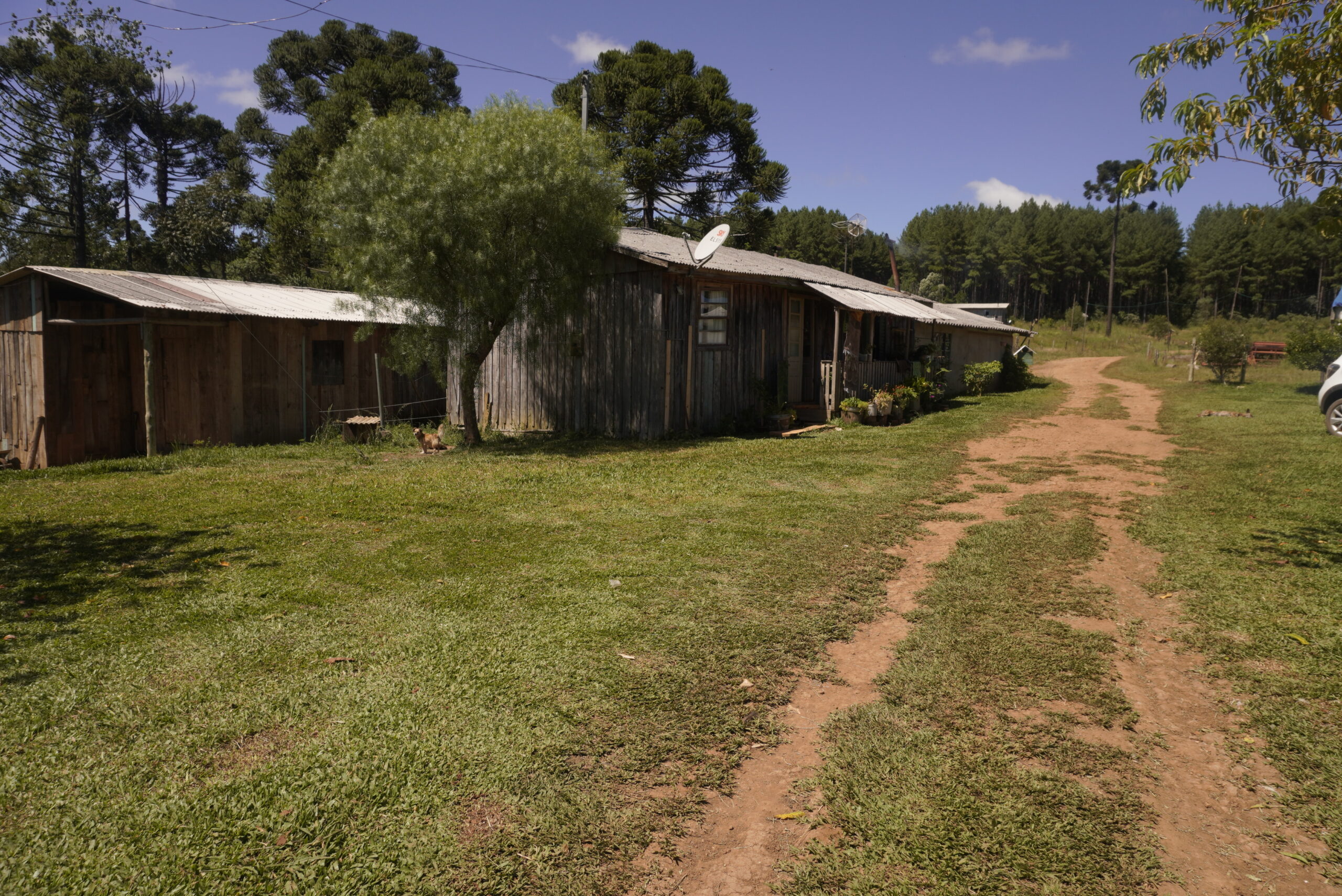 visita as comunidades remanescentes de quilombos de santa catarina campo dos poli e invernada dos negros mostra de cinema chica pelega