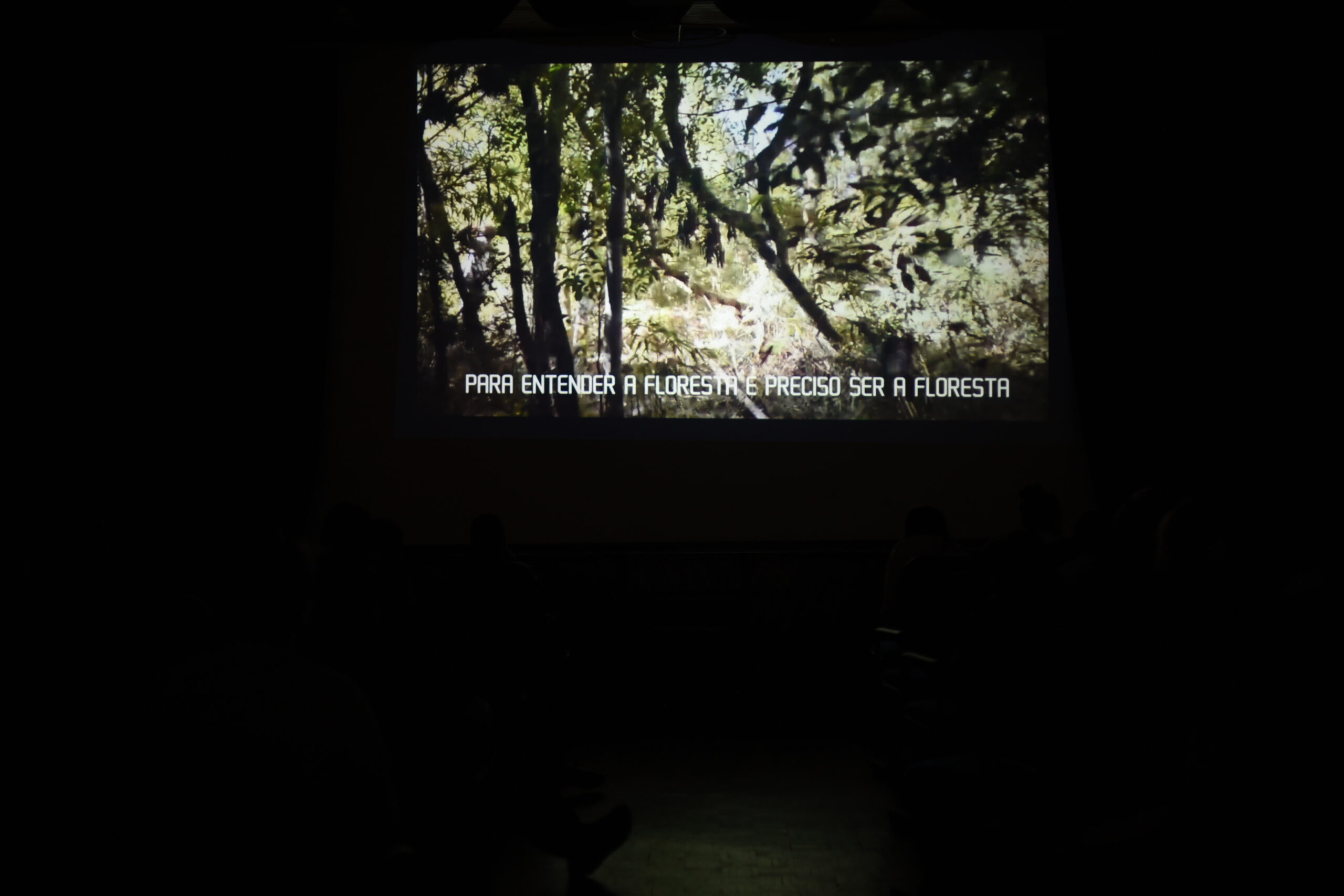 3ª mostra de cinema chica pelega edição quilombola capinzal Janela Verde fotografia