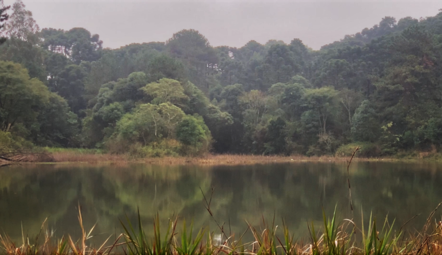 A luta de um quilombola polinário 2023 still still filme oficina o minuto que foi yasser socarras gonzalez 3ª Mostra de cinema chica pelega edição quilombola Campo dos Poli