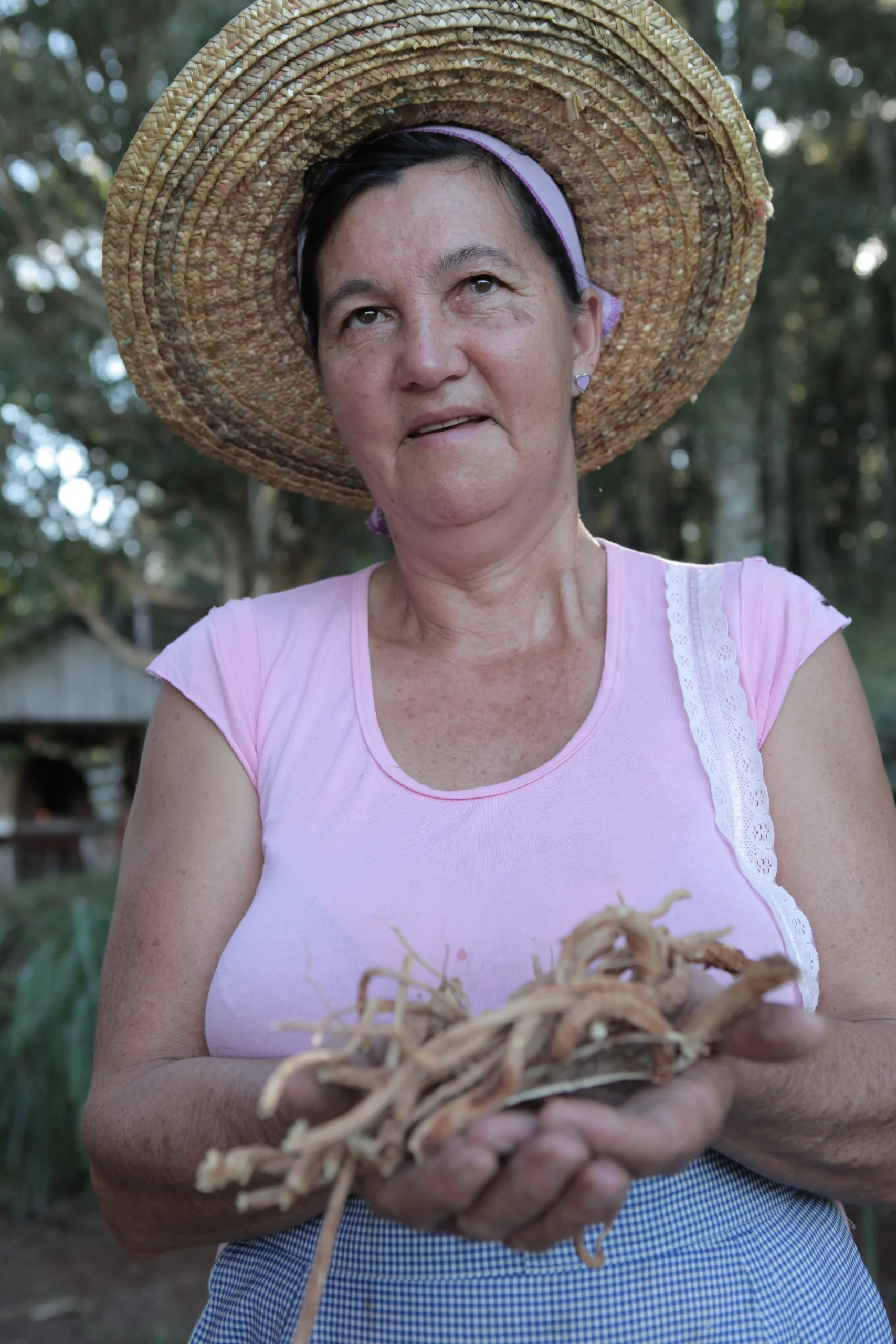 Mulheres da terra